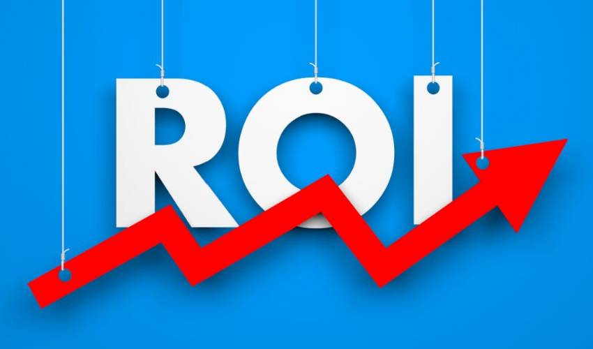 Roi Nedir ?